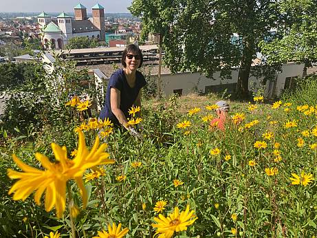 Freiwillige HobbygärtnerInnen pflegen den wunderschönen Hospizgarten im Rahmen von gemeinsamen Samstagseinsätzen oder ihrer persönlichen Möglichkeiten.