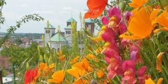 Blick aus dem Rollstuhl