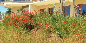 Pavillon - Treffpunkt der Kindertrauergruppe